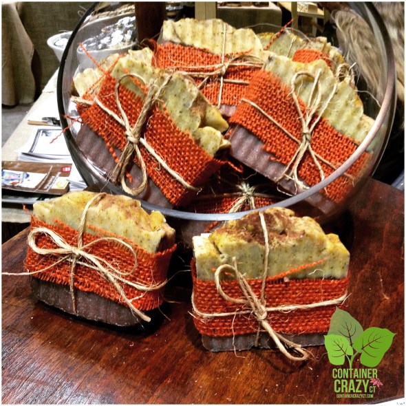 Thompson Street Farm of South Glastonbury, CT