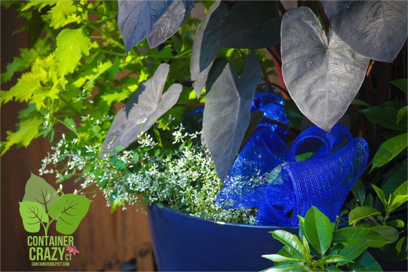 Container Garden by Container Crazy CT - Wedding Pots