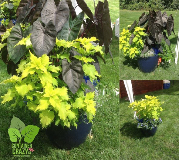 Placed at key places during the Wedding Event