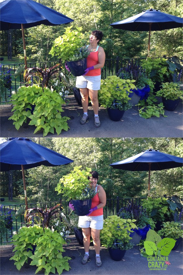 Cathy T being silly on delivery day