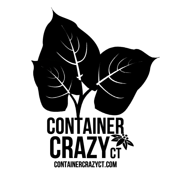 Container Crazy CT