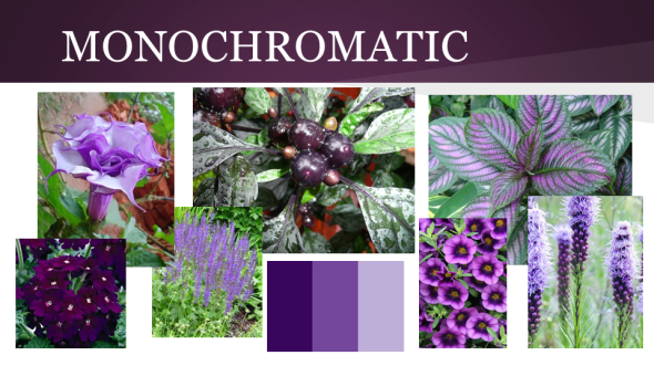 Monochromatic