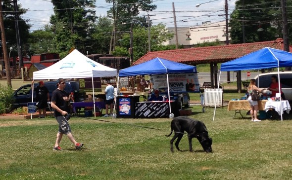 A great place to walk your dog is at the market!