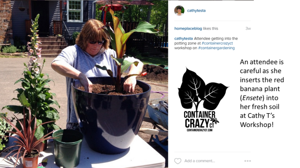 Dont Do Photos for Blog Post3