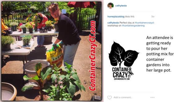 Dont Do Photos for Blog Post4