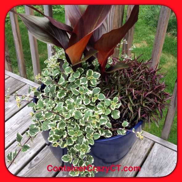 Photo taken of an Attendees pot after the workshop at her home