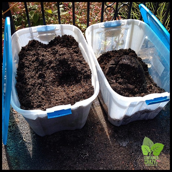 Recycling Soil for a Year or Two