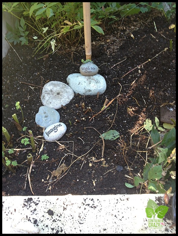 ContainerGardenTakeDown_0011