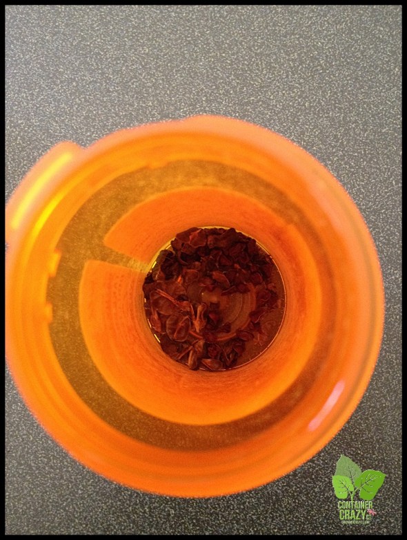 ContainerGardenTakeDown_0012