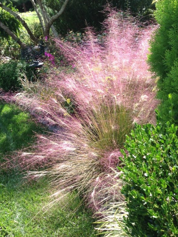 Photo by John Viccellio