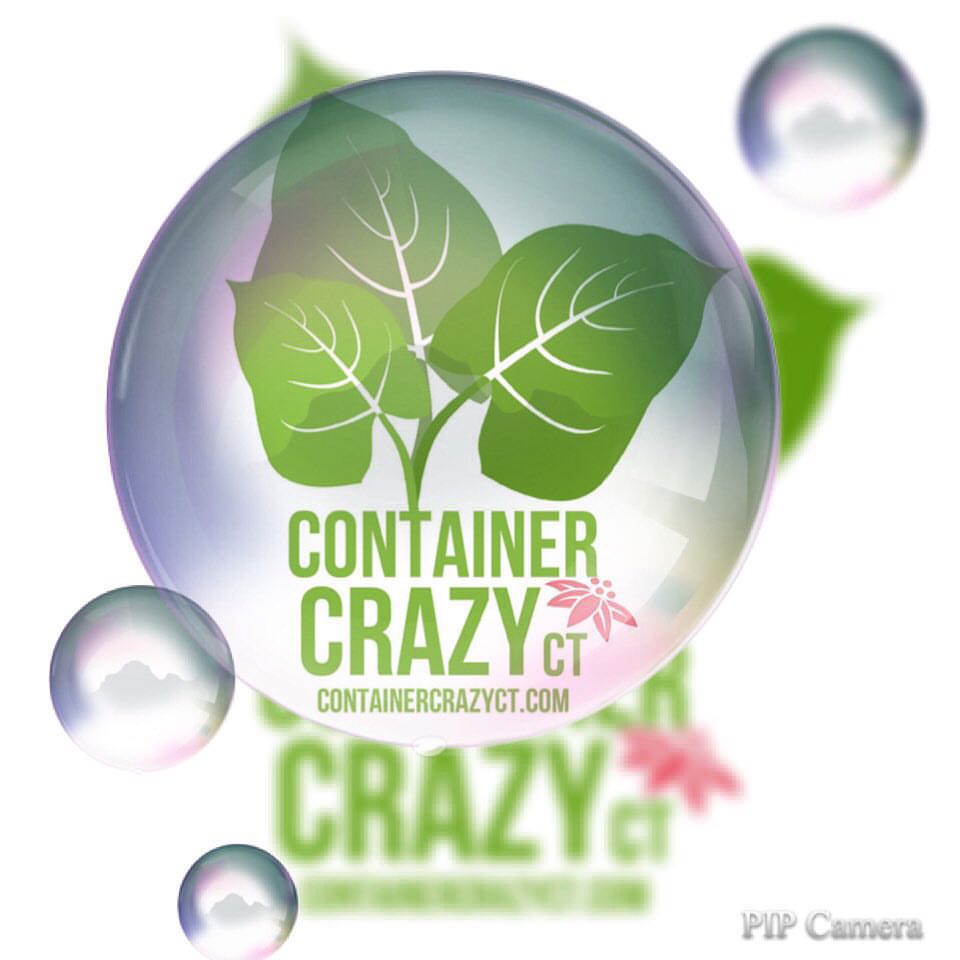 Bubble Photo with Logo