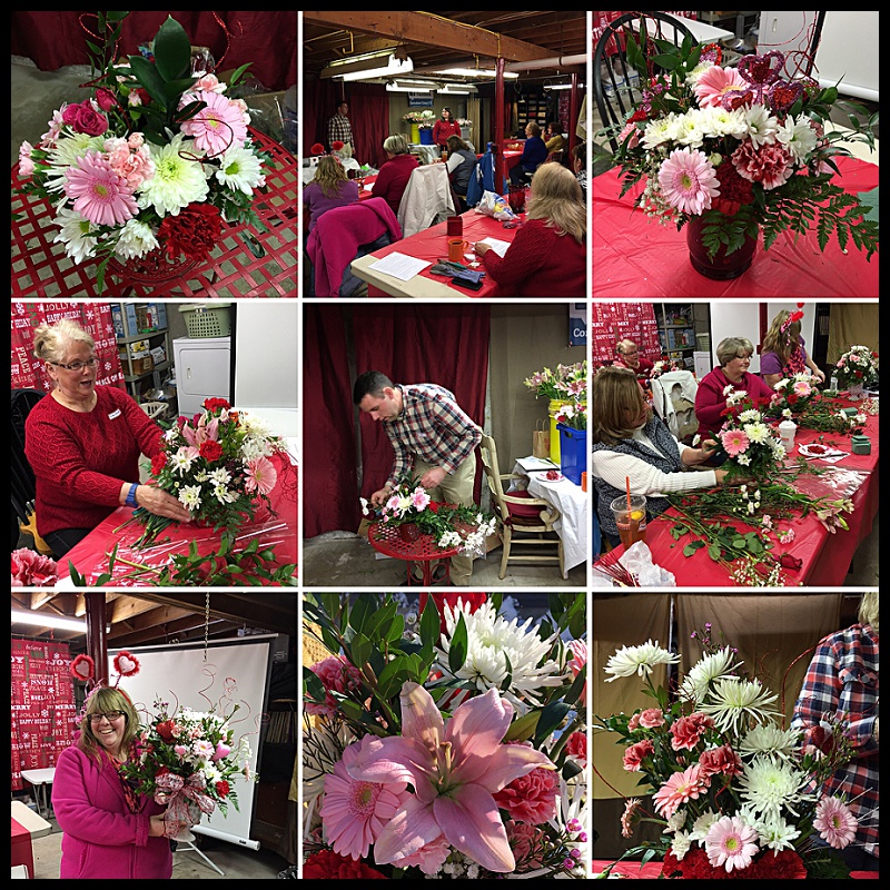 Bookstore Clear Coned Plant_0008