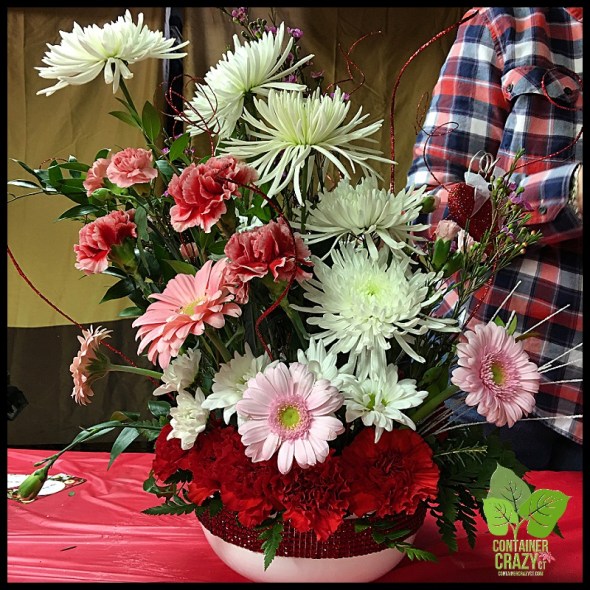 Bookstore Clear Coned Plant_0013