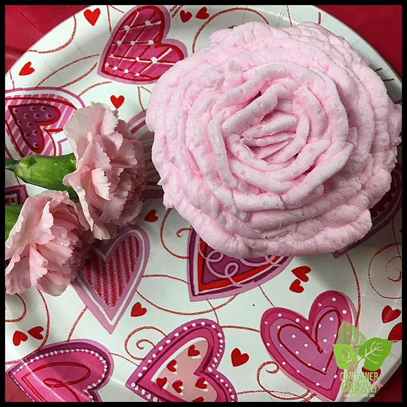 Bookstore Clear Coned Plant_0014