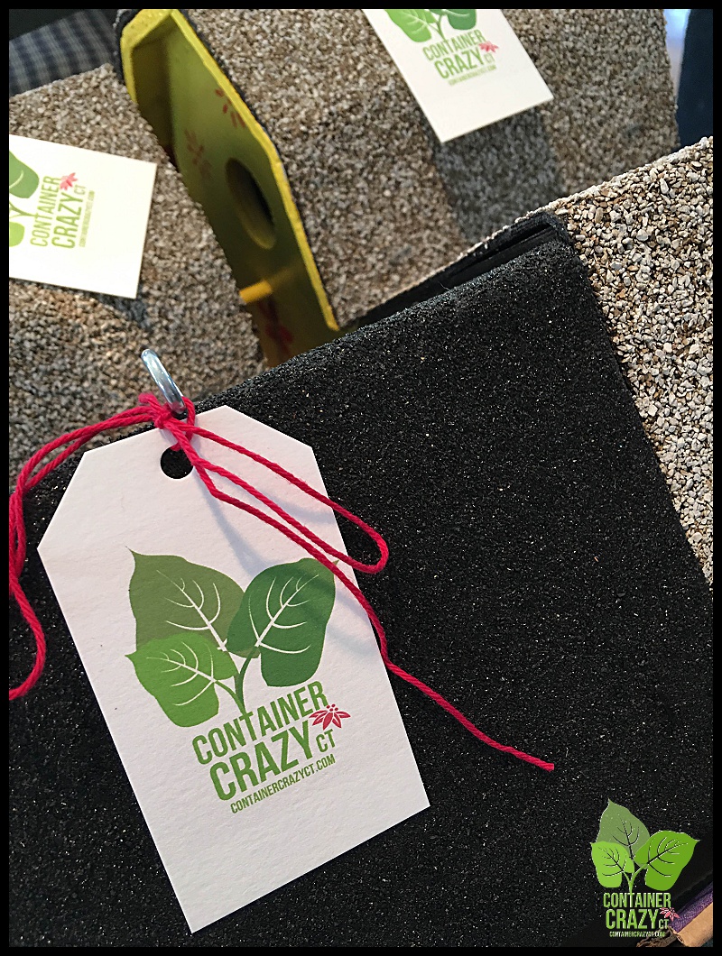 Bookstore Clear Coned Plant_0026