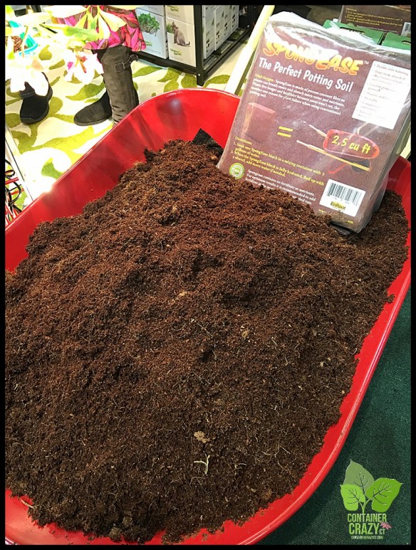 fish tank plant fertilizer 2HR Aquarist APT 1 – Low-Tech Liquid Fertilizer main image 1