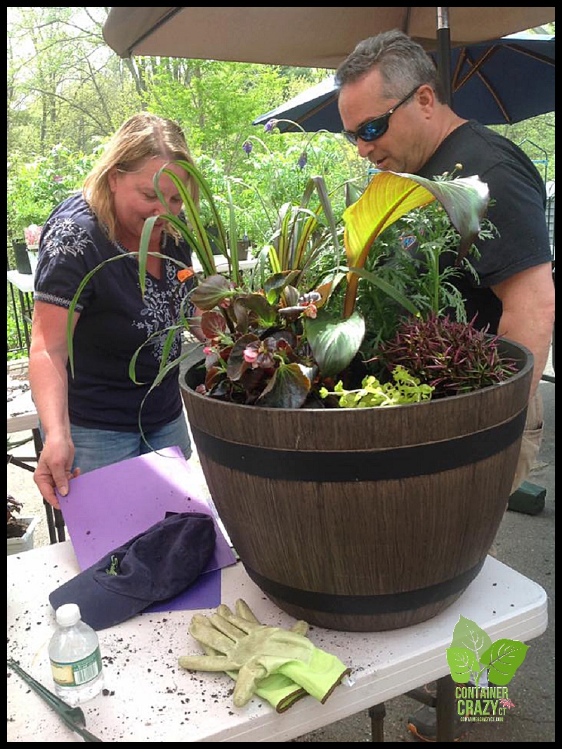 Container Garden Workshop_0004