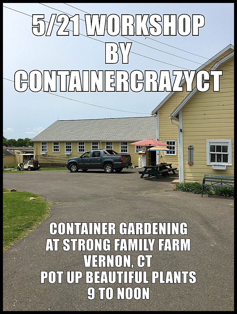 Container Garden Workshop_0014