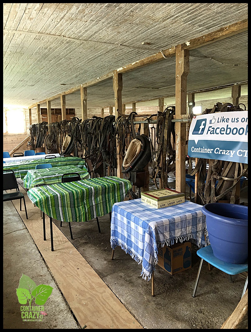 Container Garden Workshop_0016