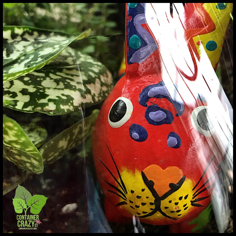 Terrariums Mothers Day_0004