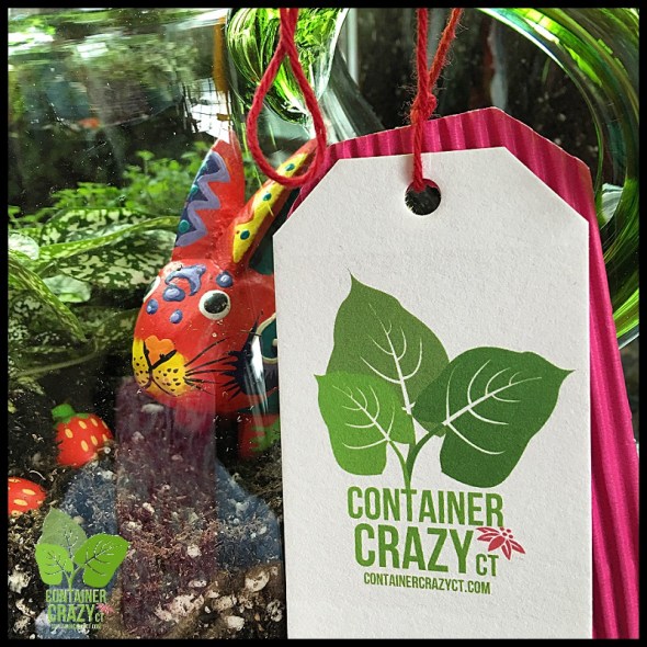 Terrariums Mothers Day_0005