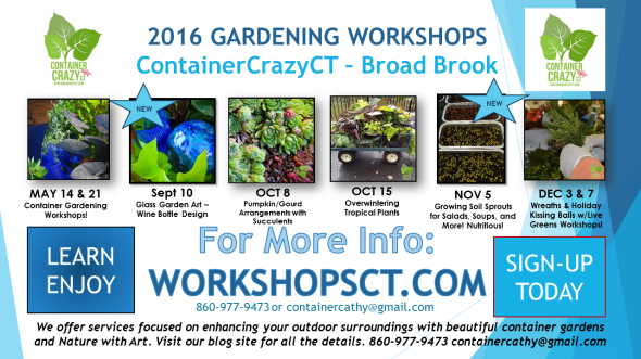 Workshop Flyer July 2016 Latest