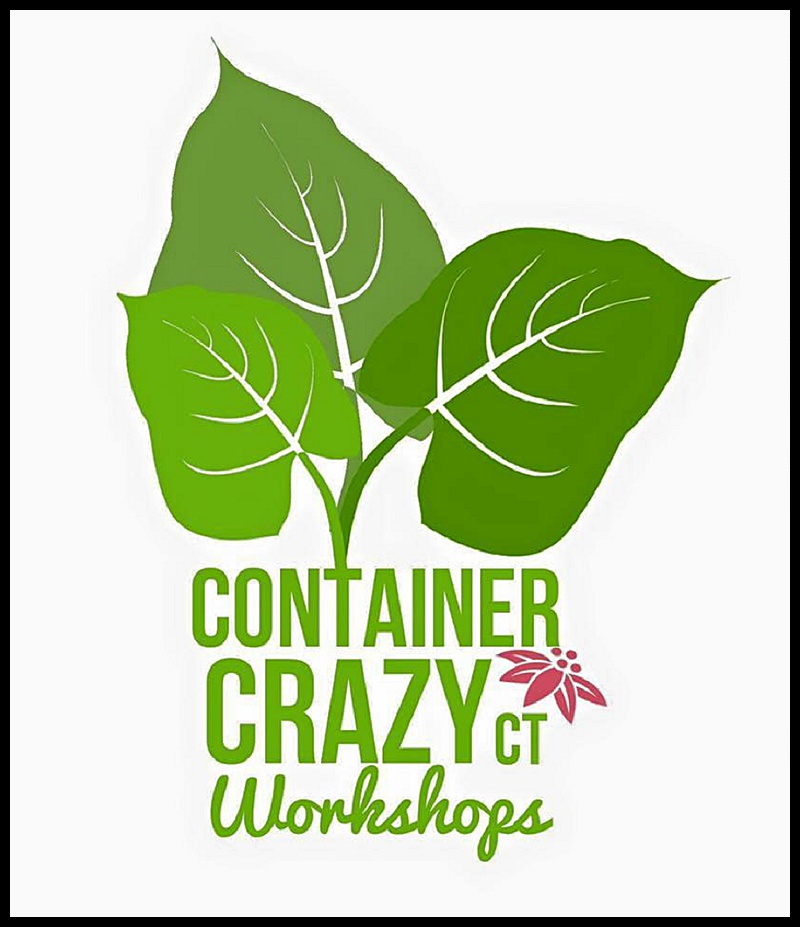 workshop-logo-green_0001