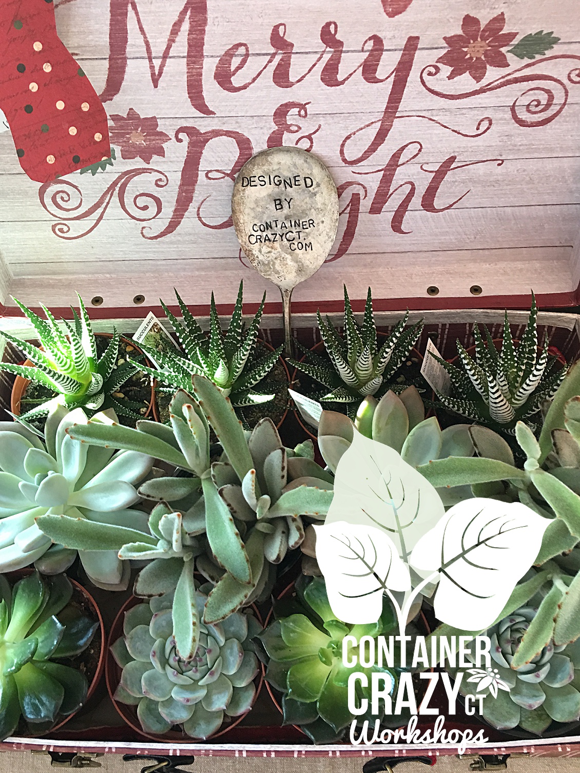 containercrazyct-creations_0003