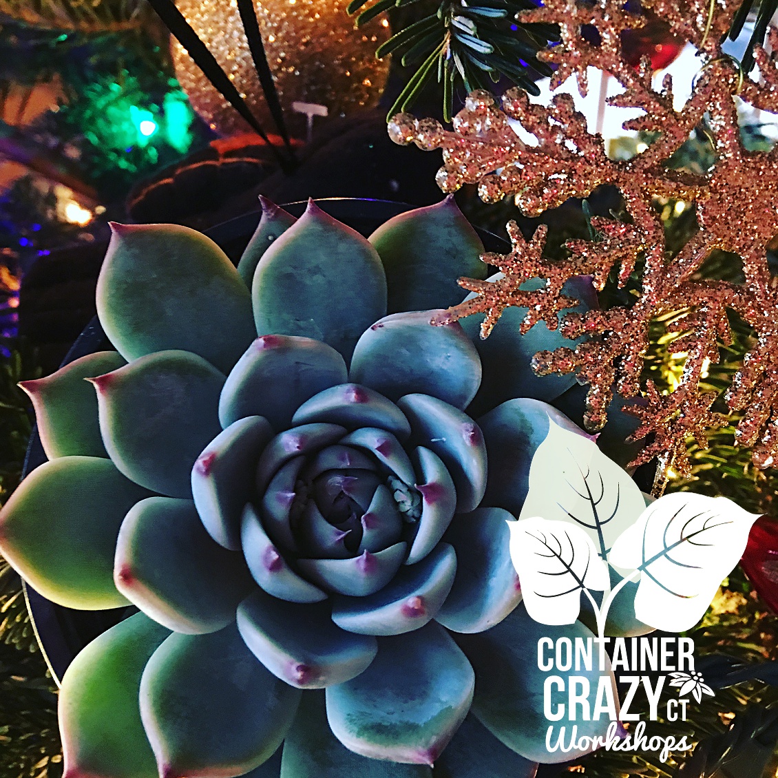 wreaths-by-cathy-testa-of-container-crazy-ct_0011