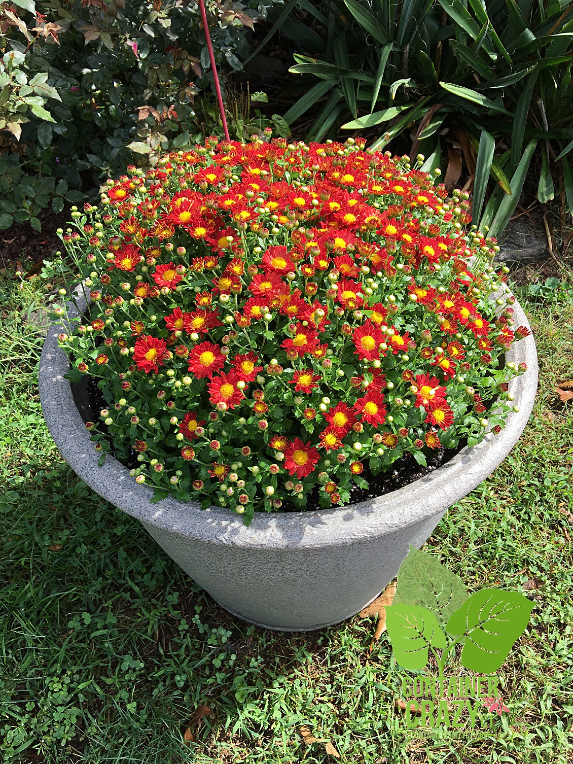 gen-photos-2016-copywrite-ccc_0001