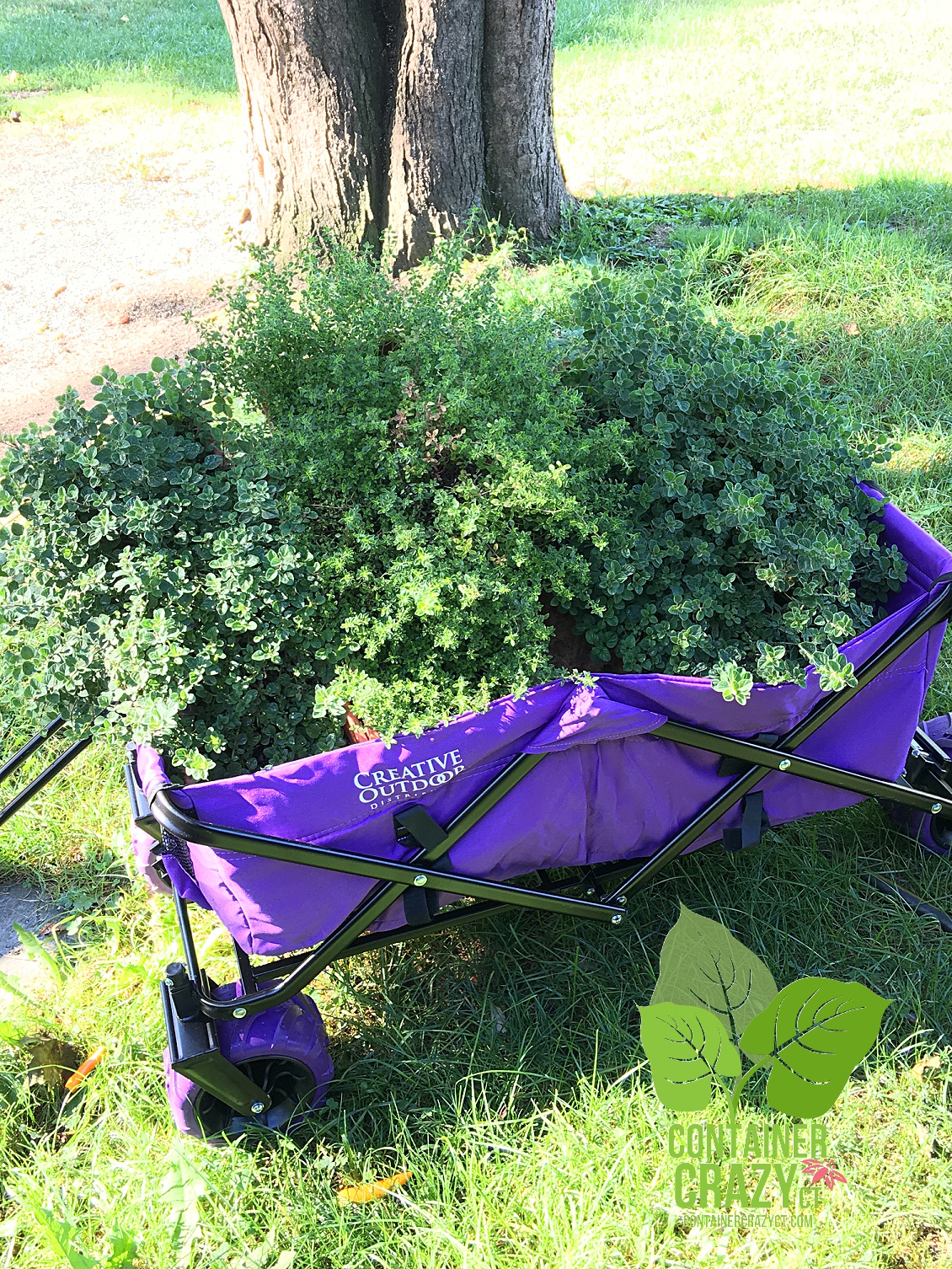 gen-photos-2016-copywrite-ccc_0002