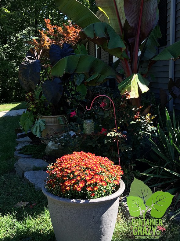 gen-photos-2016-copywrite-ccc_0003