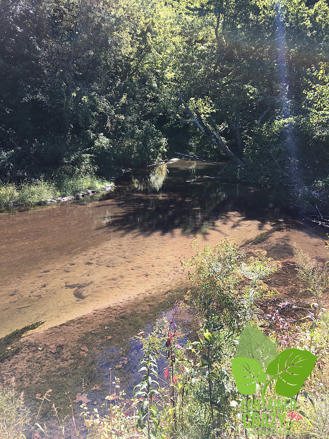 gen-photos-2016-copywrite-ccc_0004