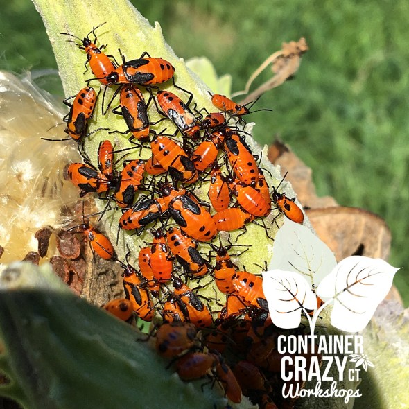 river-copywrite-ccc_0003