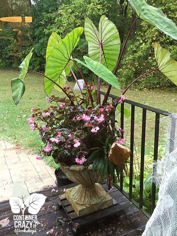 photo-wk-copywrite-ccc_0002