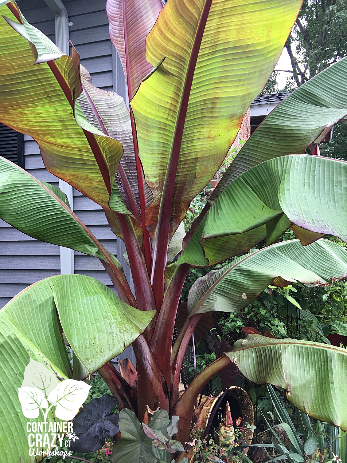 photo-wk-copywrite-ccc_0003