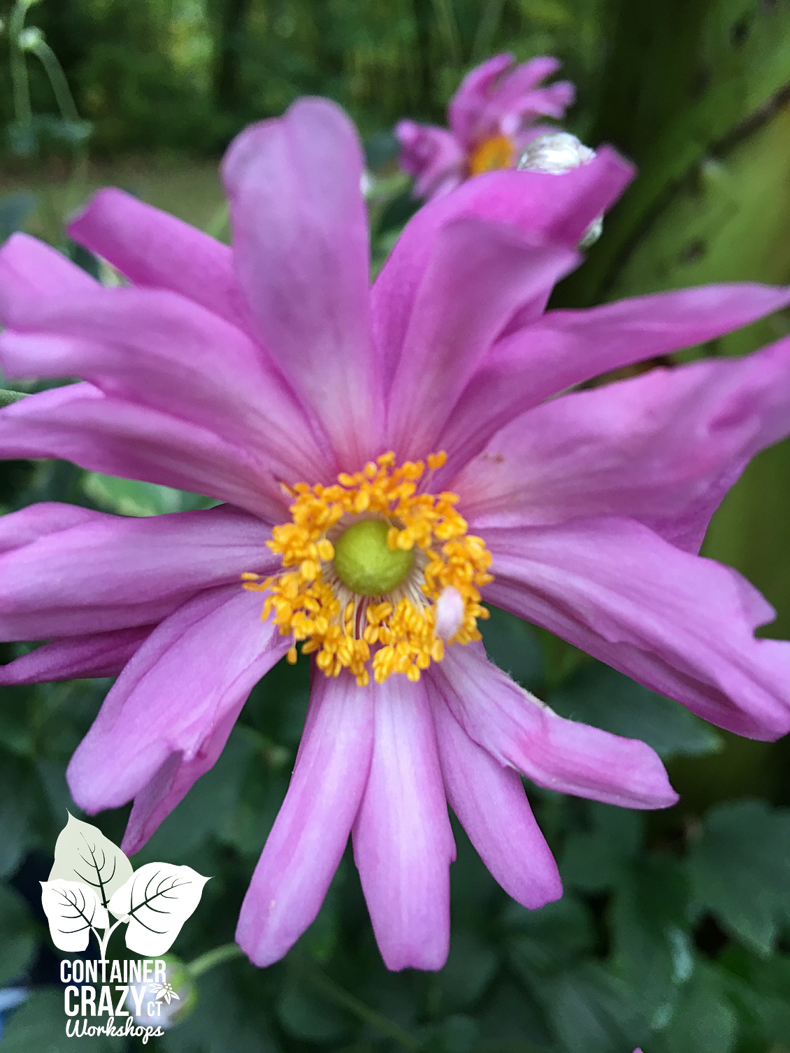 photo-wk-copywrite-ccc_0005