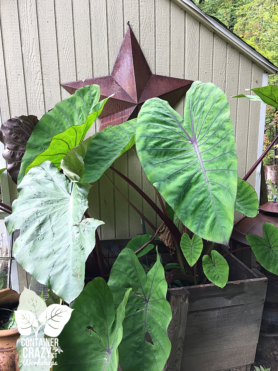 photo-wk-copywrite-ccc_0007