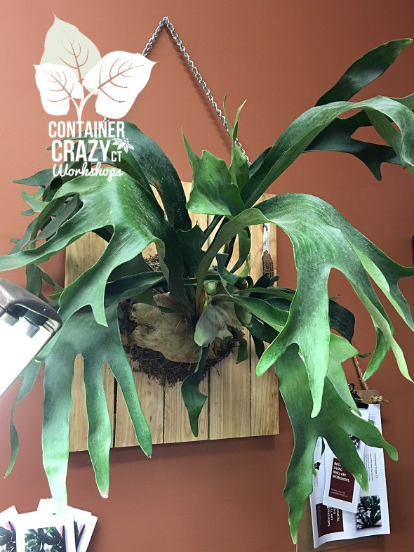 Bot Wall Art Copywrite CCC_0004