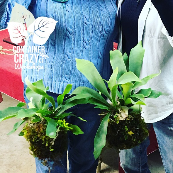 Koke Copywrite CCC_0001