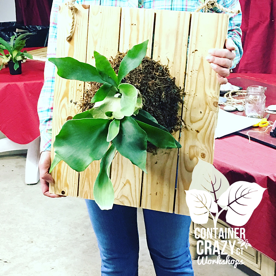 Koke Copywrite CCC_0002