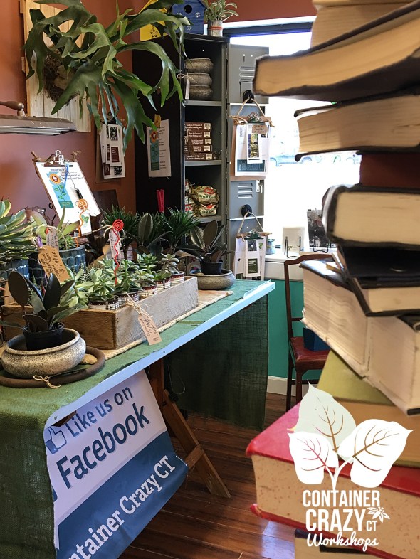 STORE Copywrite CCC_0001