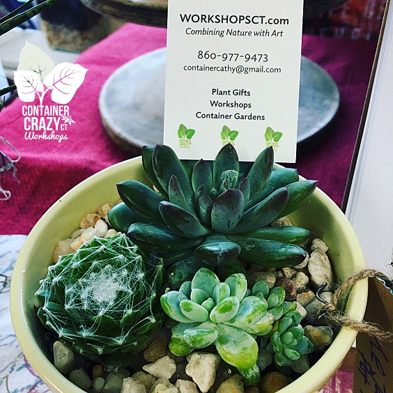 Grand Opening Celebration Copywrite CCC_0003