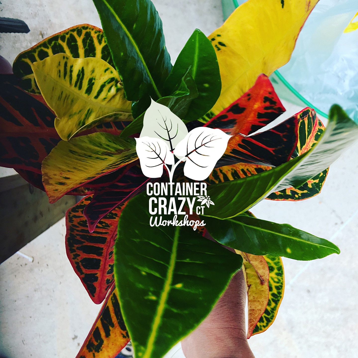 HP Cont Workshops Copywrite CCC_0003