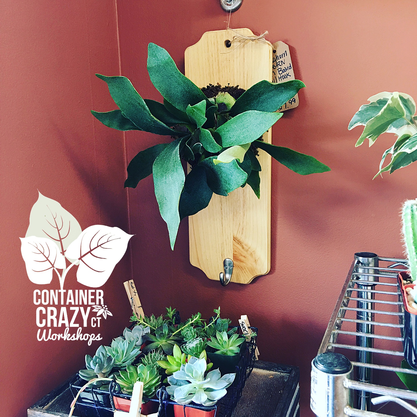 Mothers Day Copywrite CCC_0005