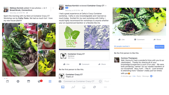 Reviews Workshop May 2017