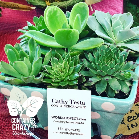 New Arrivals Copywrite CCC_0002