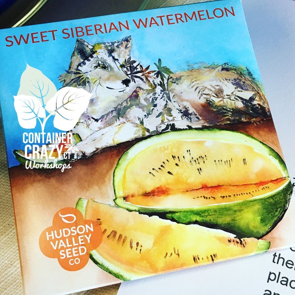 New Arrivals Copywrite CCC_0004