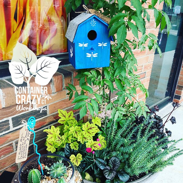 Seeds in Containers CCC Copywrite_0003