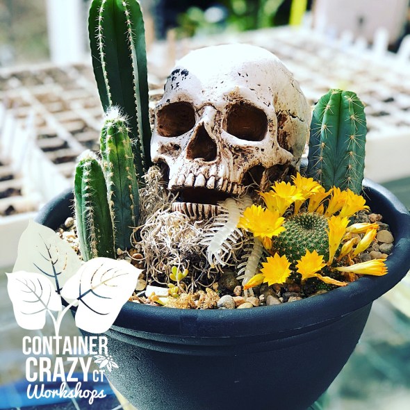 April 2018 Cathy Testa CCC Copywrite_0001